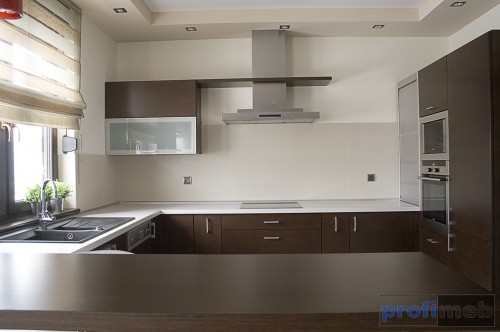 Kuchnie nowoczesne - Rosa